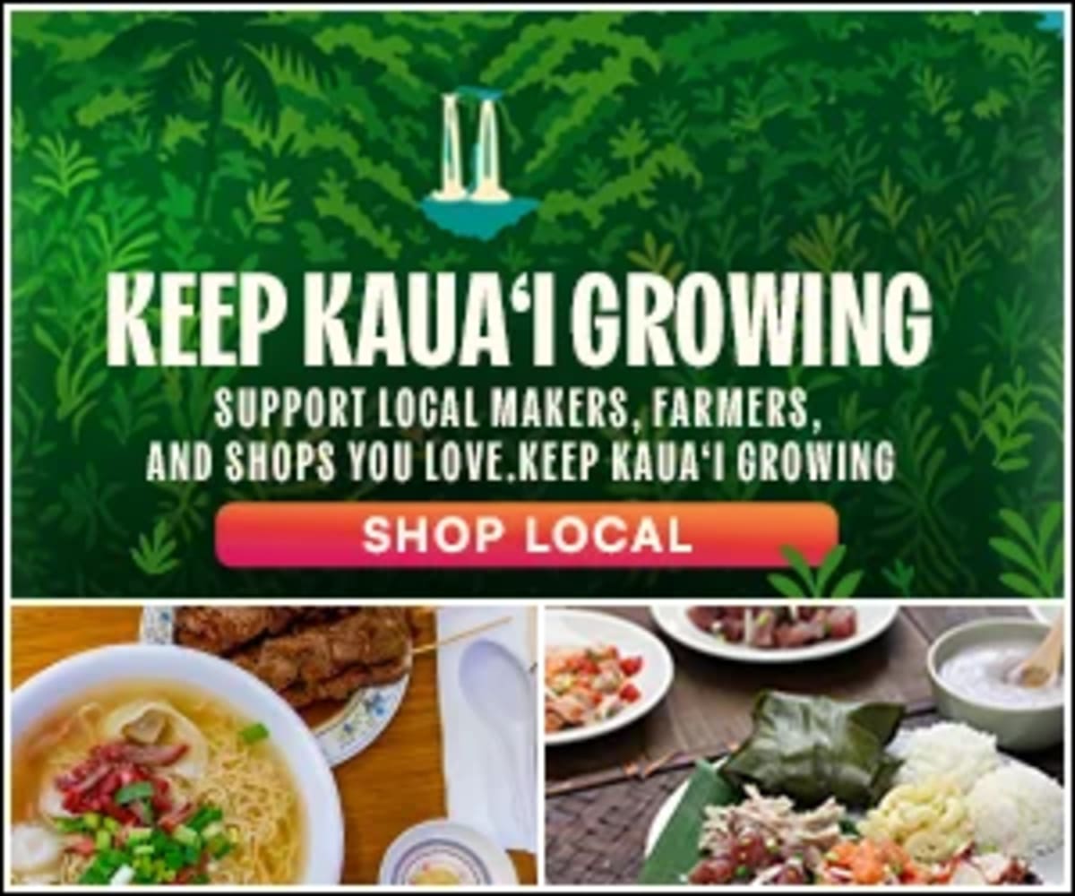 Hawaii Court Protects Rare Bees, Pauses Resort Build - Image 5