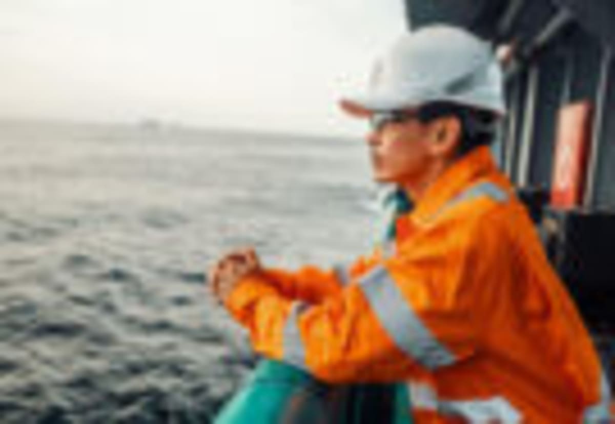 Indonesia and Norway Expand Clean Energy Partnership - Image 5