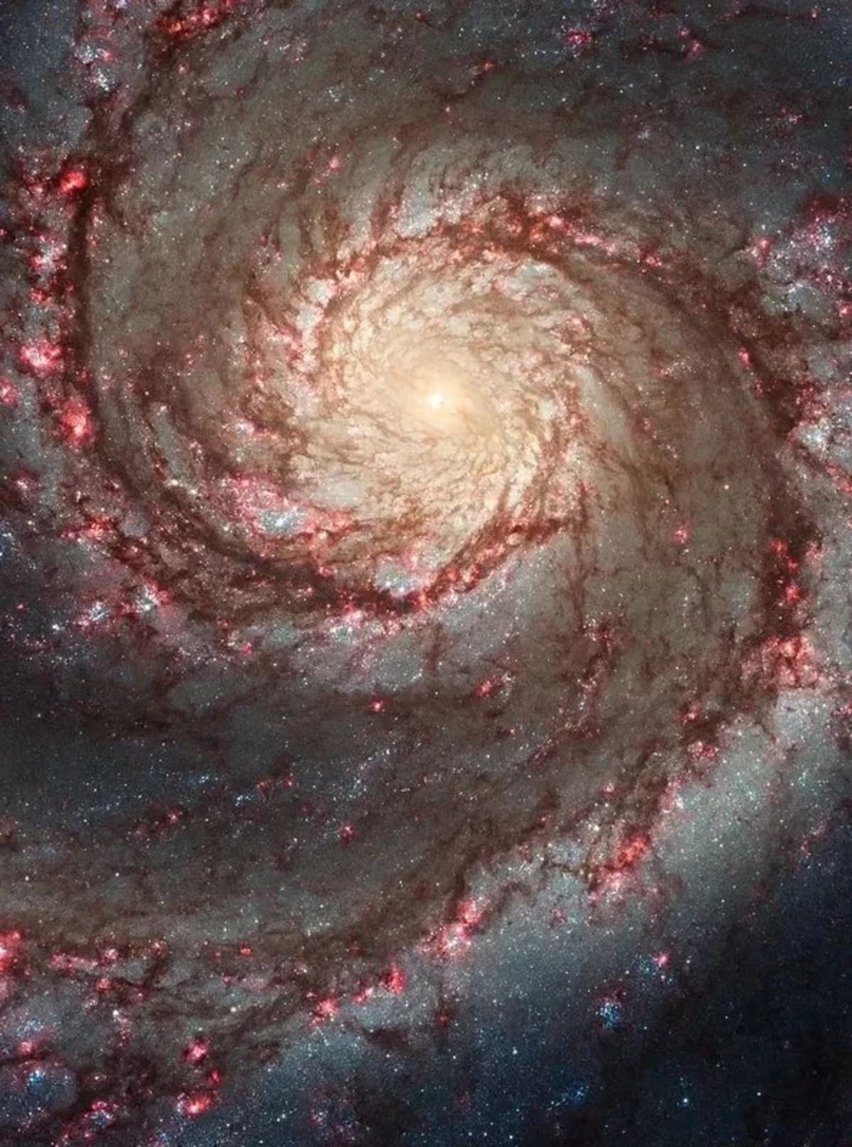 Hubble Captures Galaxy Where Black Hole Reshapes Star Birth - Image 5