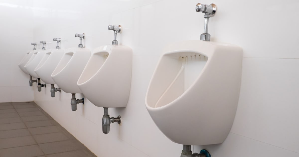 Dutch Office Turns Urine Into Electricity and Fertilizer