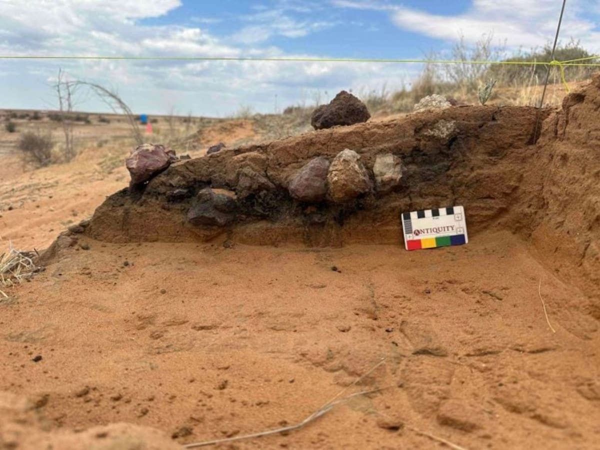 Ancient Australian Millet Shows 3,000 Years of Cultivation - Image 3