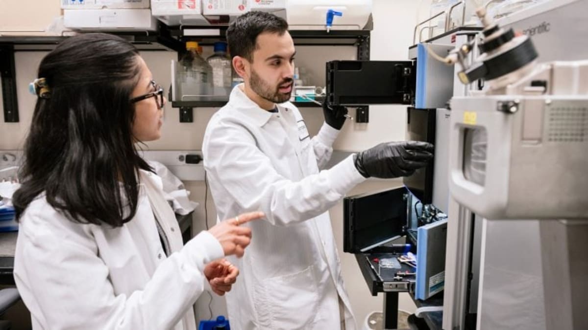 Vitamin B3 Extends Survival in Mice with Deadly Disease - Image 4