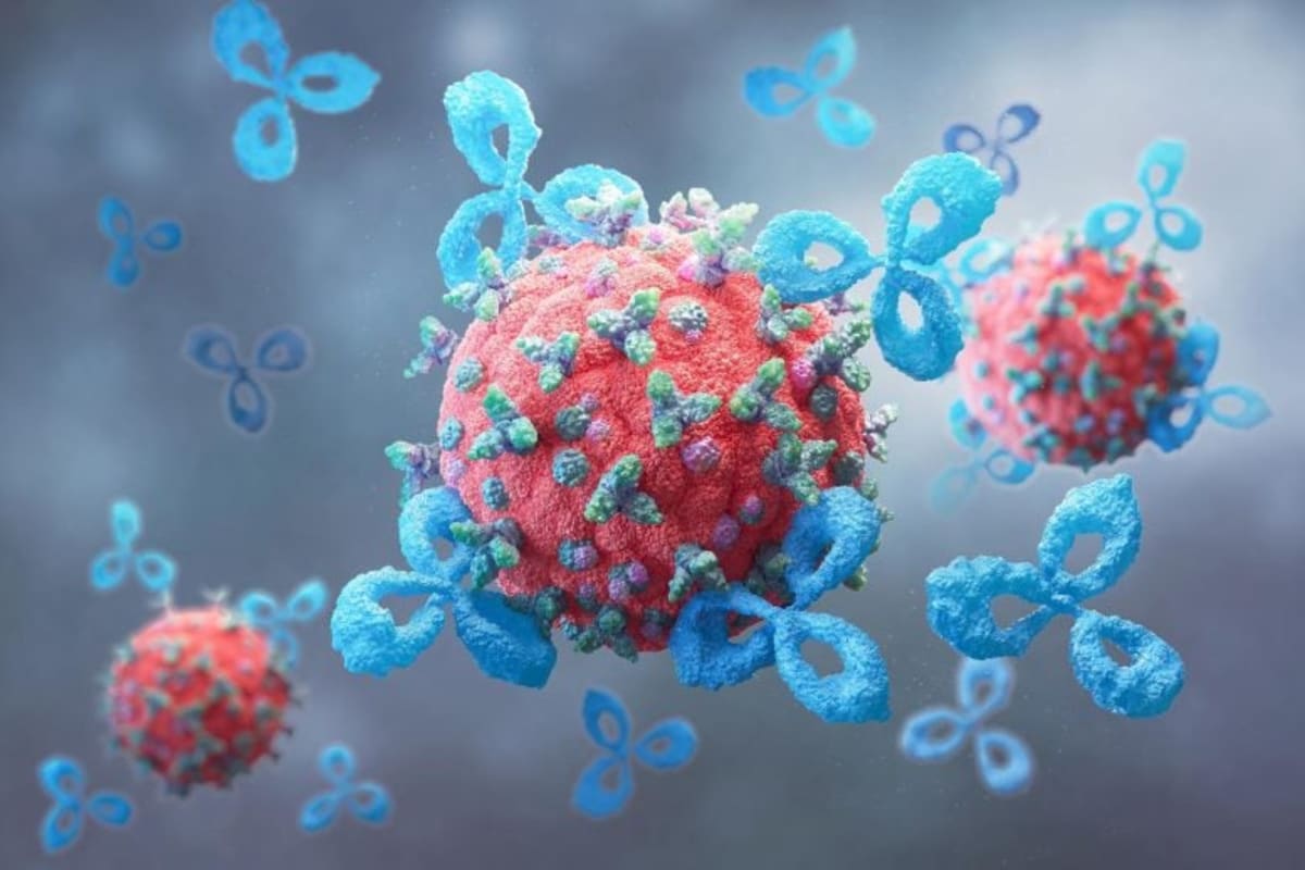 Gut Bacteria Compound Boosts Cancer Treatment in Mice