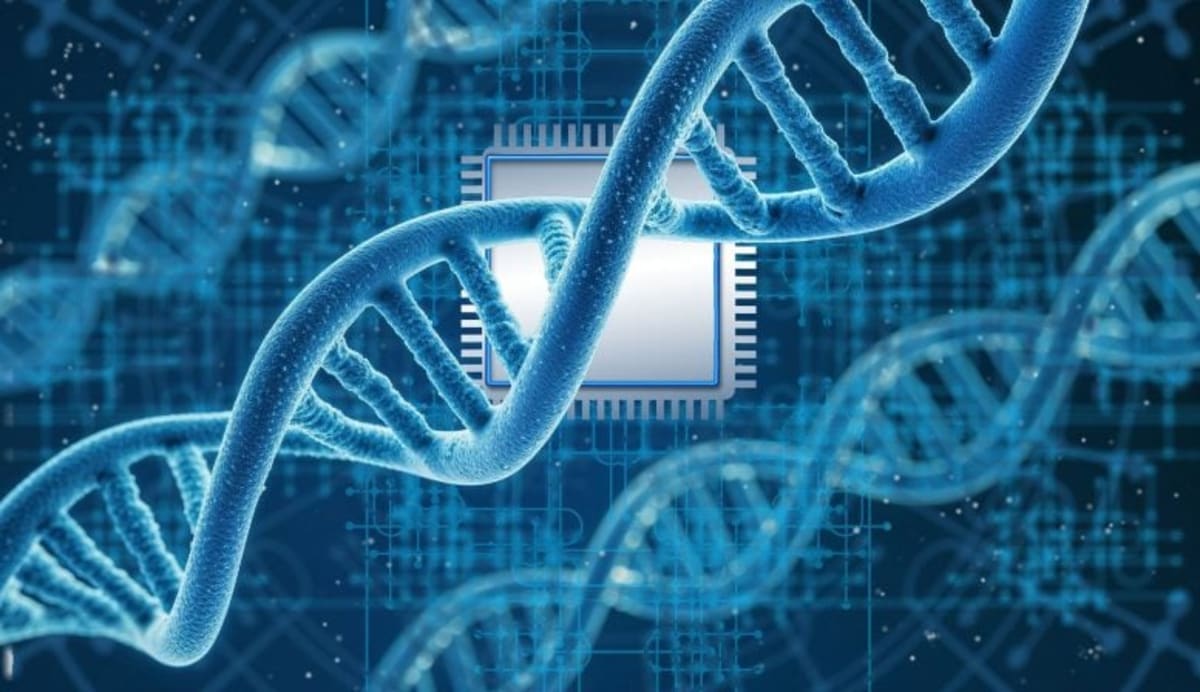 Brain Enters New Phase Between Ages 50 and 75 - Image 2