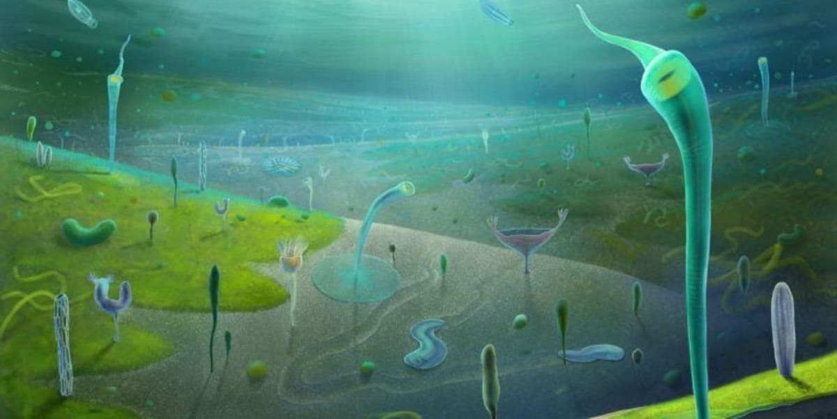 Scientists Find Oldest Human Ancestor Fossils in China - Image 3