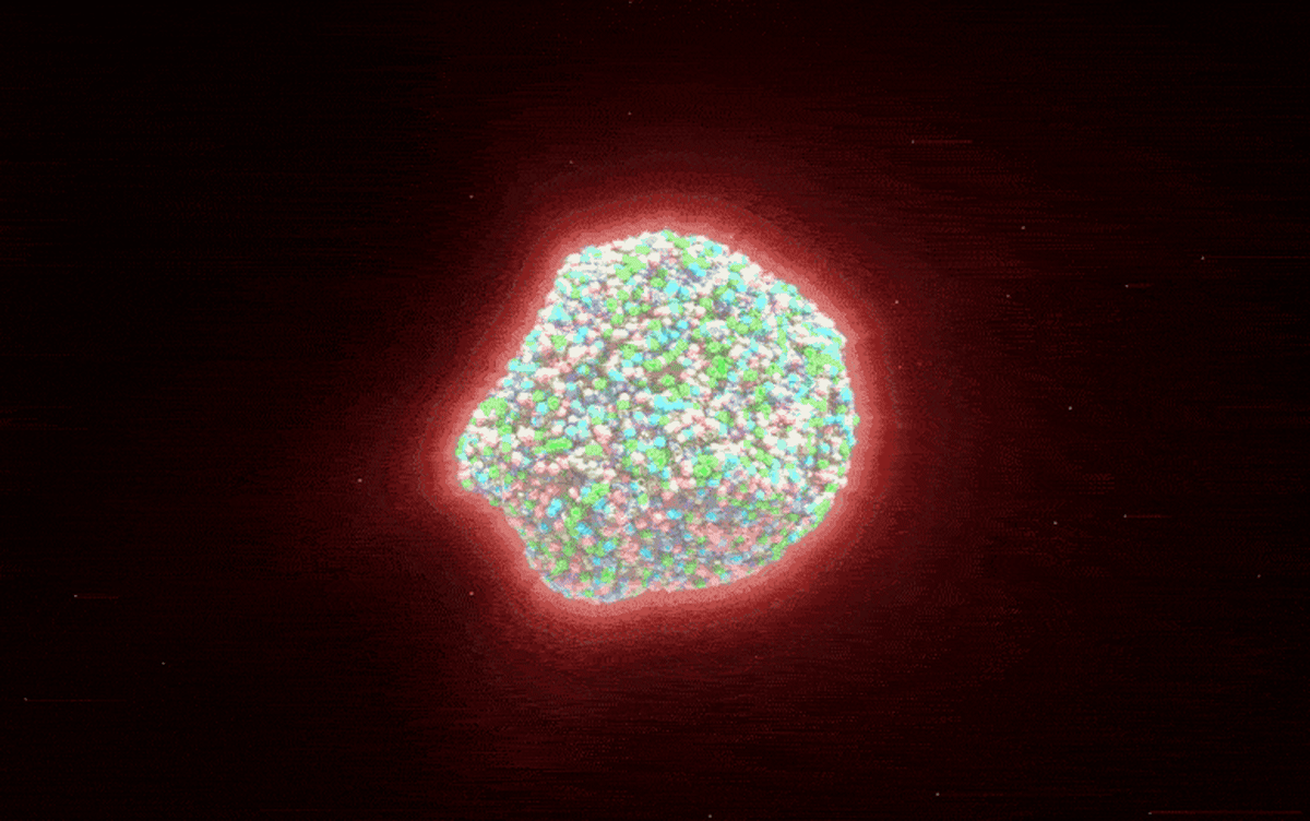 Scientists Recreate Universe's First Moments at CERN - Image 2