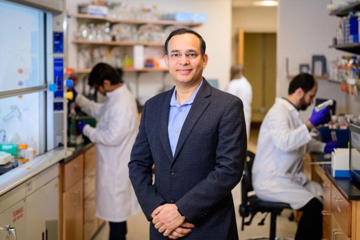 Scientists Discover Why Damaged Livers Can Heal Again - Image 4