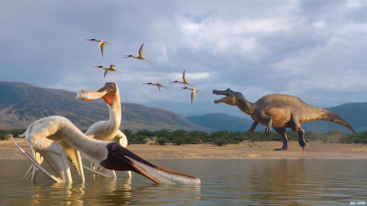 Artist illustration of two small filter-feeding pterosaurs near ancient lake being hunted by larger predator