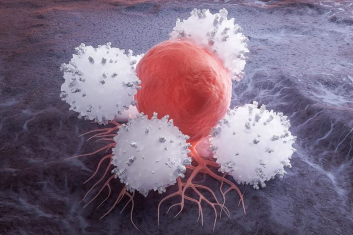 Scientists Reprogram Cancer-Fighting Cells Inside the Body - Image 2