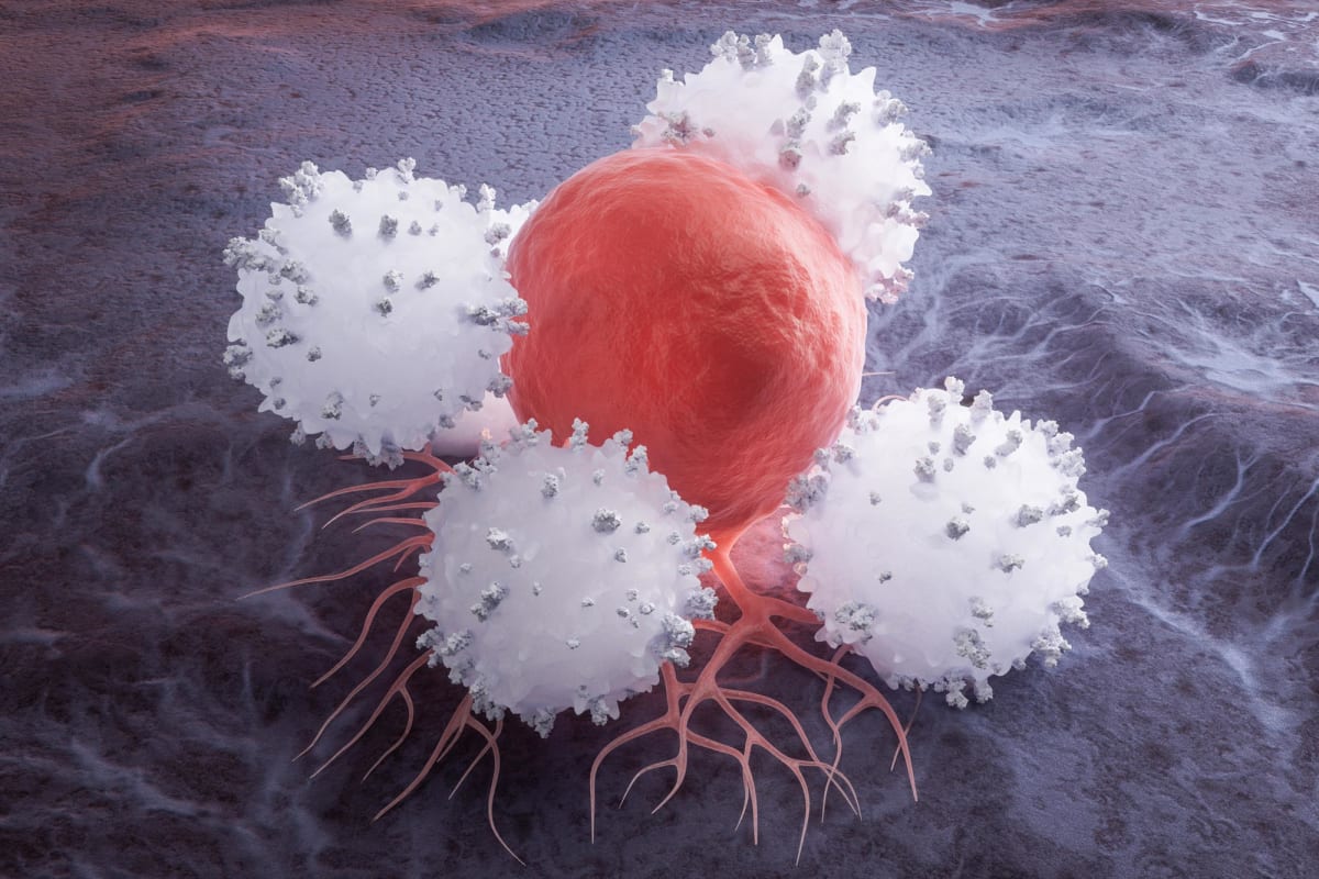 Scientists Reprogram Cancer-Fighting Cells Inside the Body
