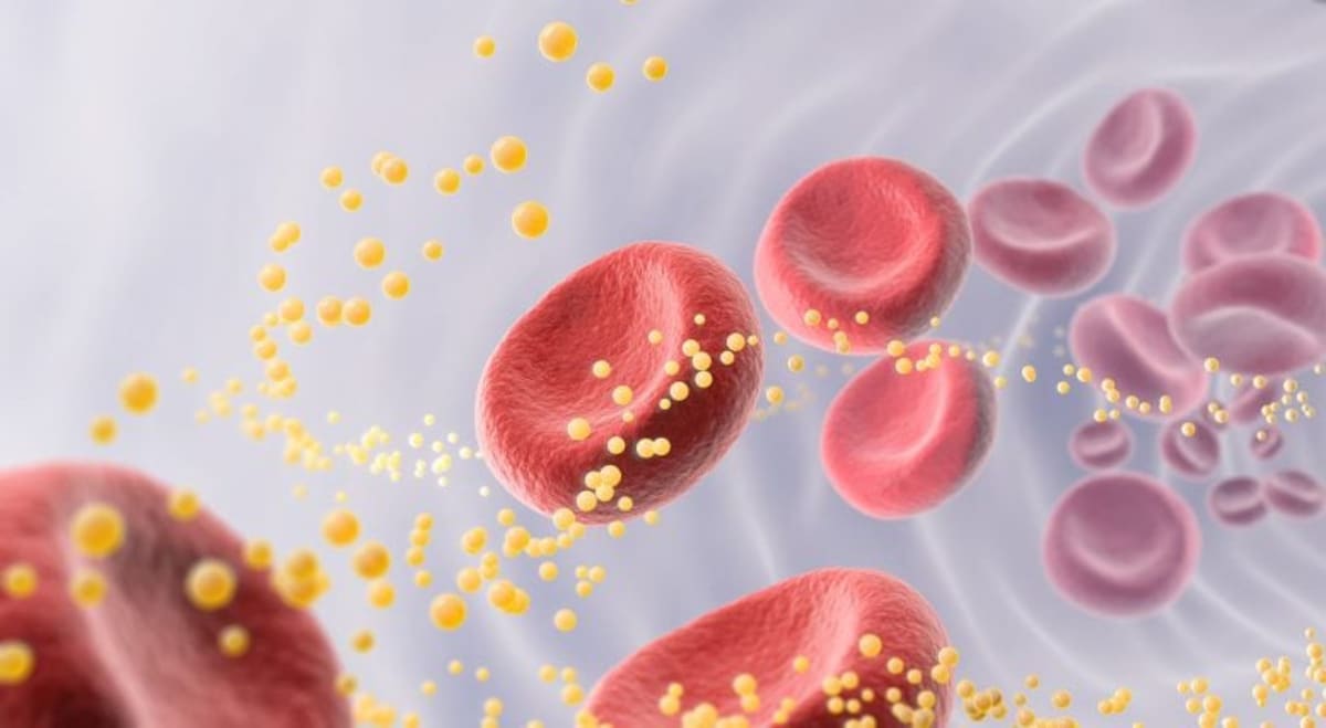 New Heart Health Guidelines Could Save Lives Decades Early - Image 2