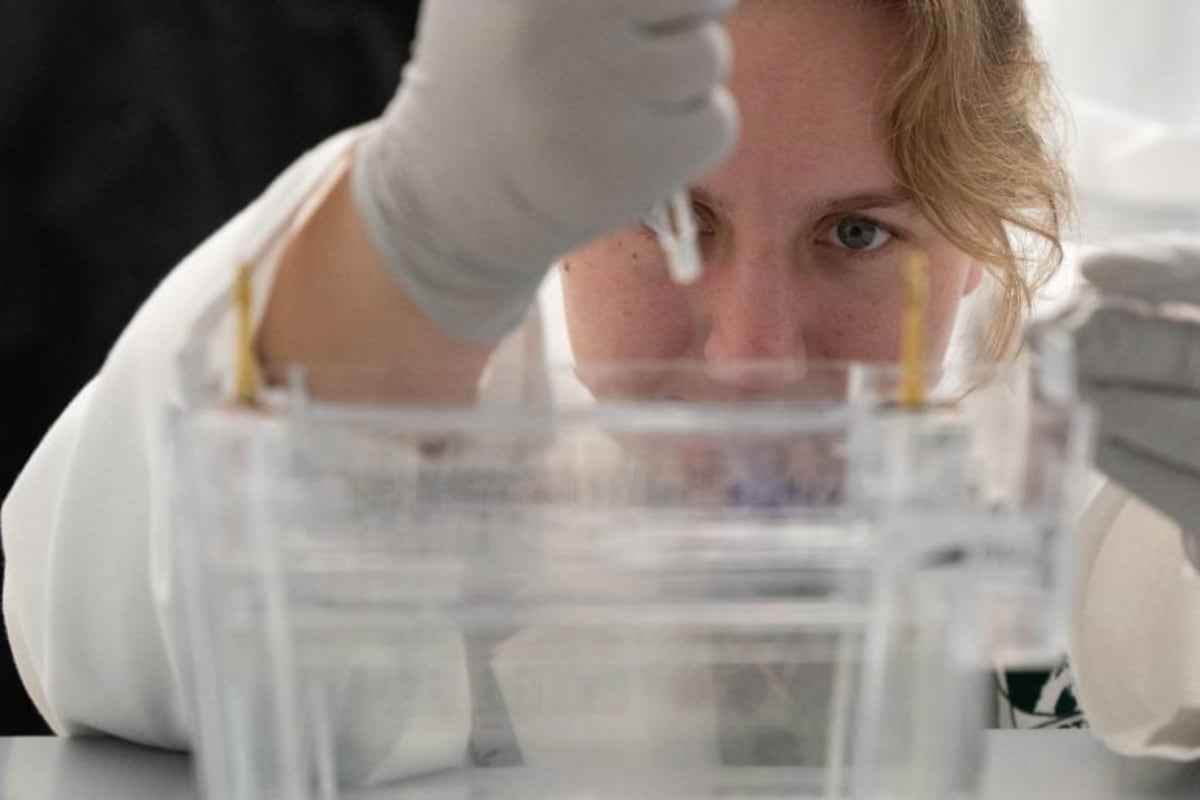 Scientists Find Brain Switch Behind Cocaine Addiction - Image 4