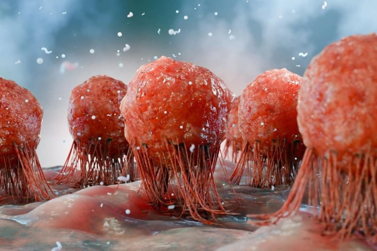 Scientists Find Cancer's Hidden Weakness in Common Molecule - Image 2