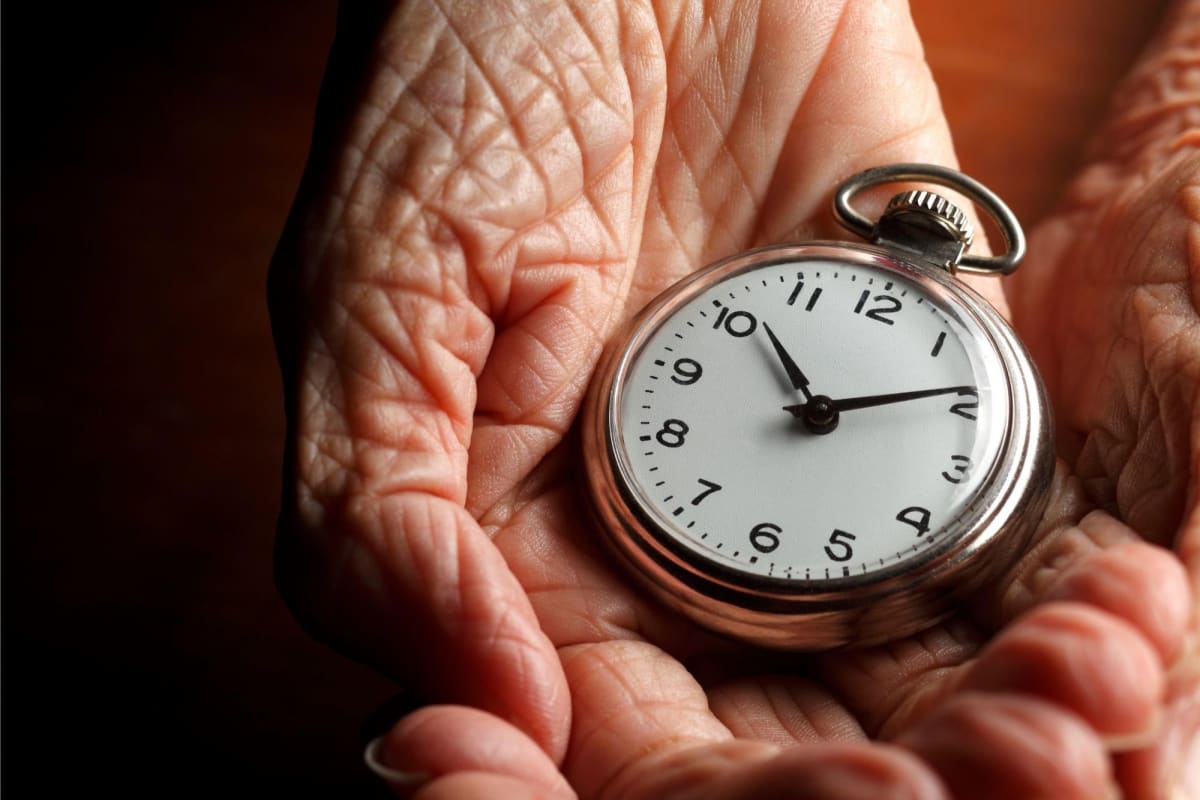 Healthy meal portion on plate representing moderate calorie restriction for longevity research