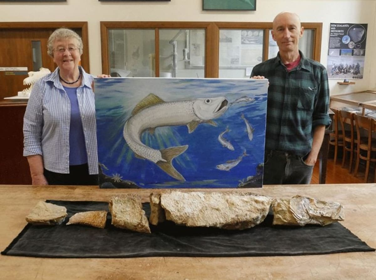Lost Notebooks Solve 25-Year Mystery of Ancient Fish - Image 3