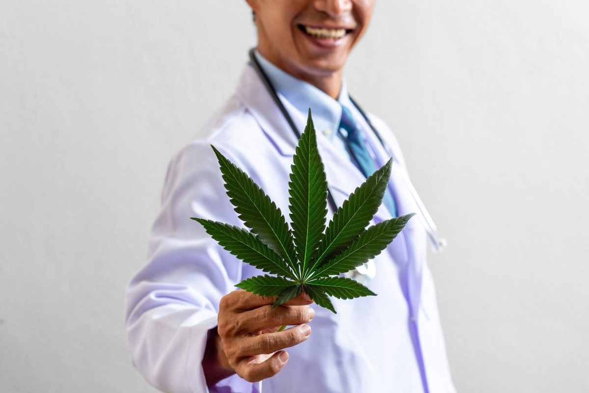 Scientist examining cannabis plant compounds in university research laboratory setting