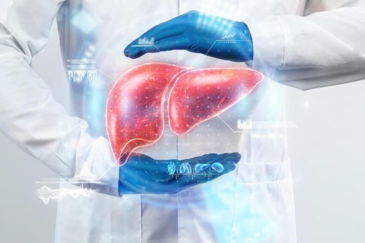 Hormone Shields Liver From Damage Beyond Weight Loss