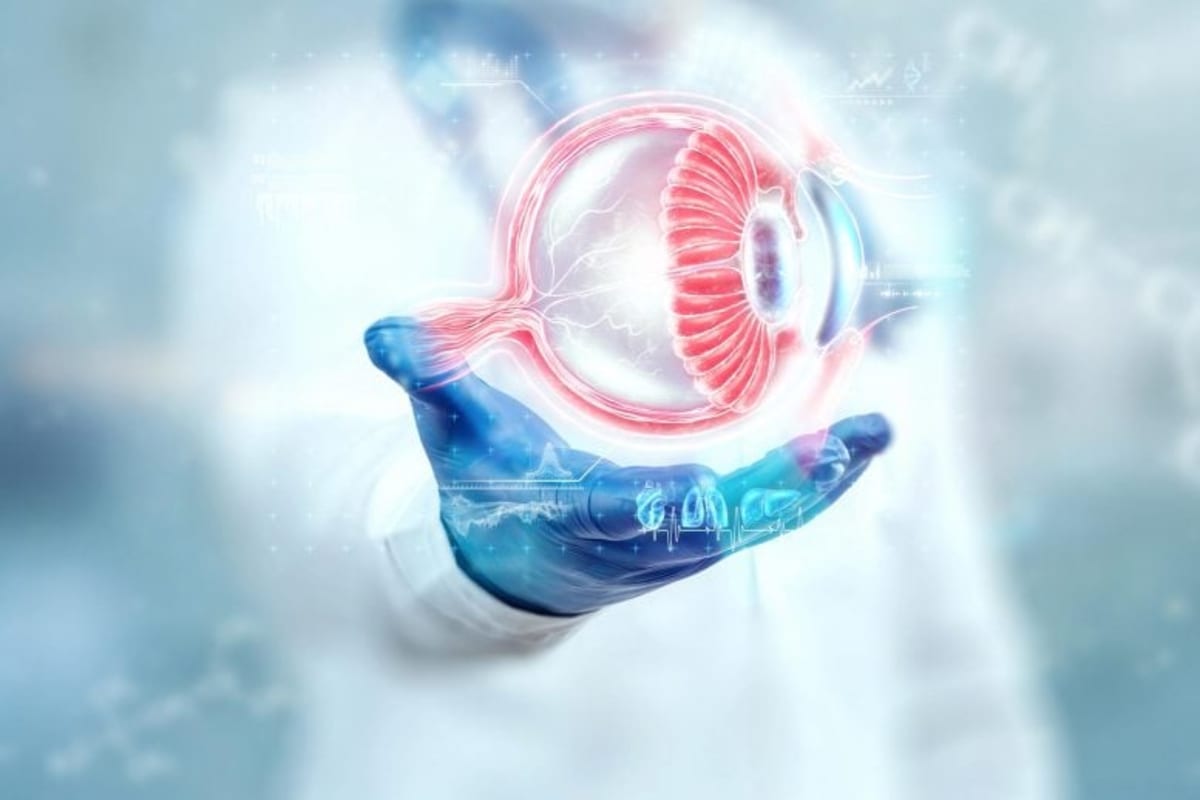 Natural Molecule Shows Promise in Slowing Vision Loss - Image 2