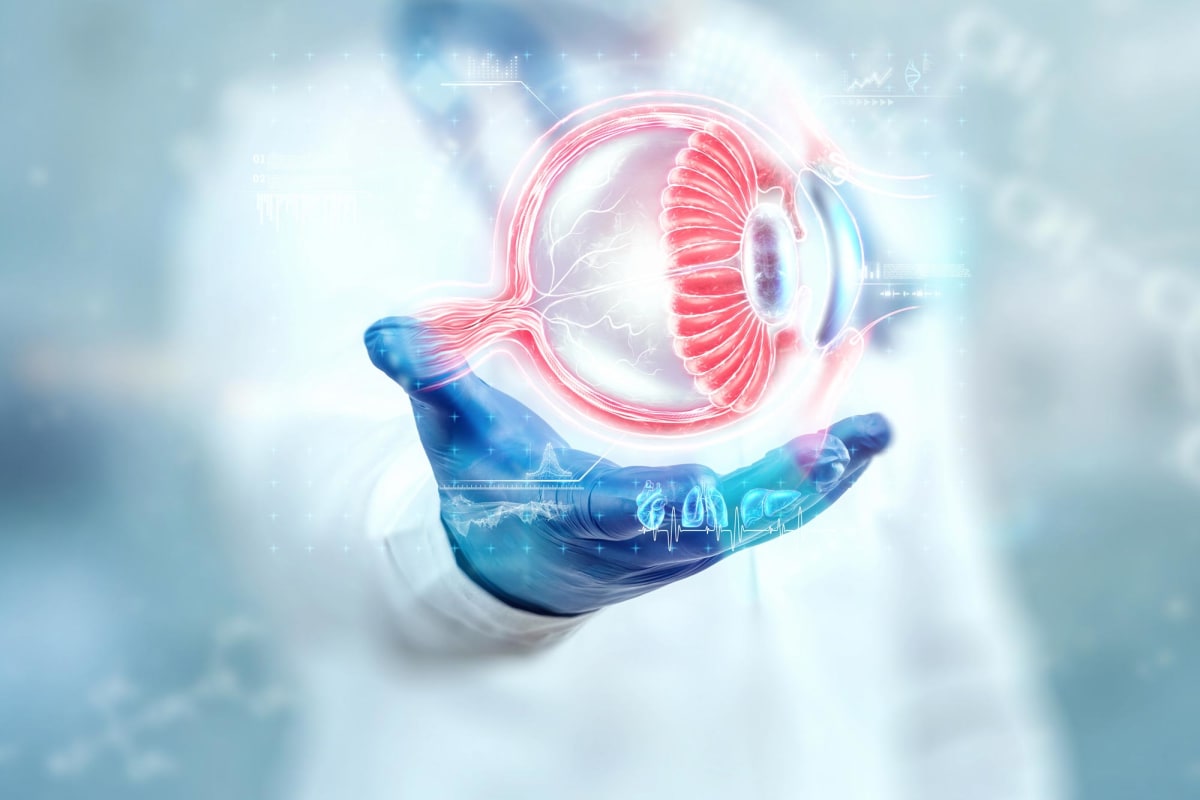 Artistic rendering of retinal landscape with glowing blood vessels and erucamide molecules activating protective cells