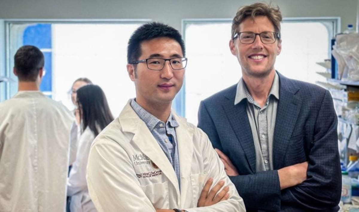 Hormone Shields Liver From Damage Beyond Weight Loss - Image 2