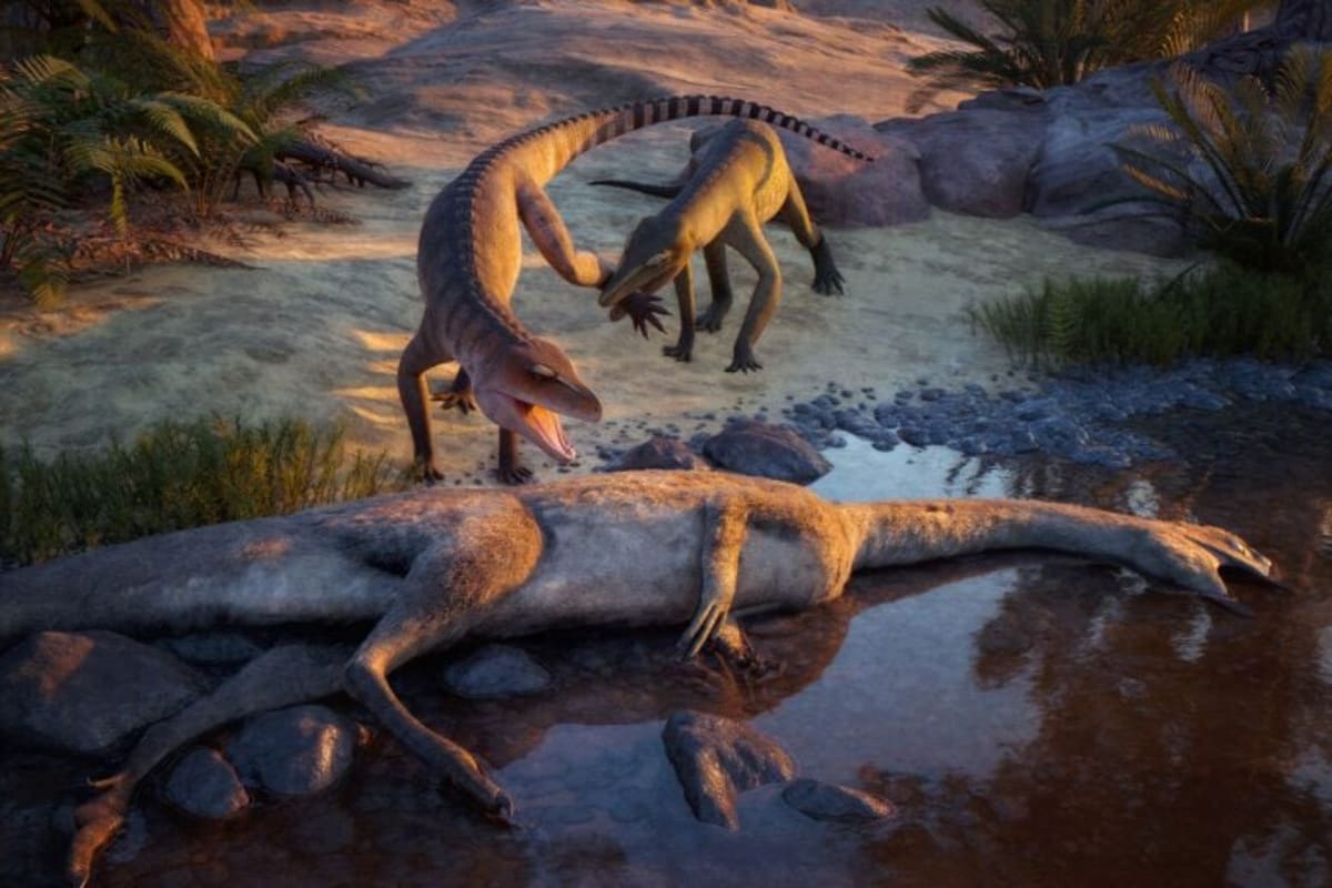 New Crocodile Cousin Found After 210 Million Years - Image 2