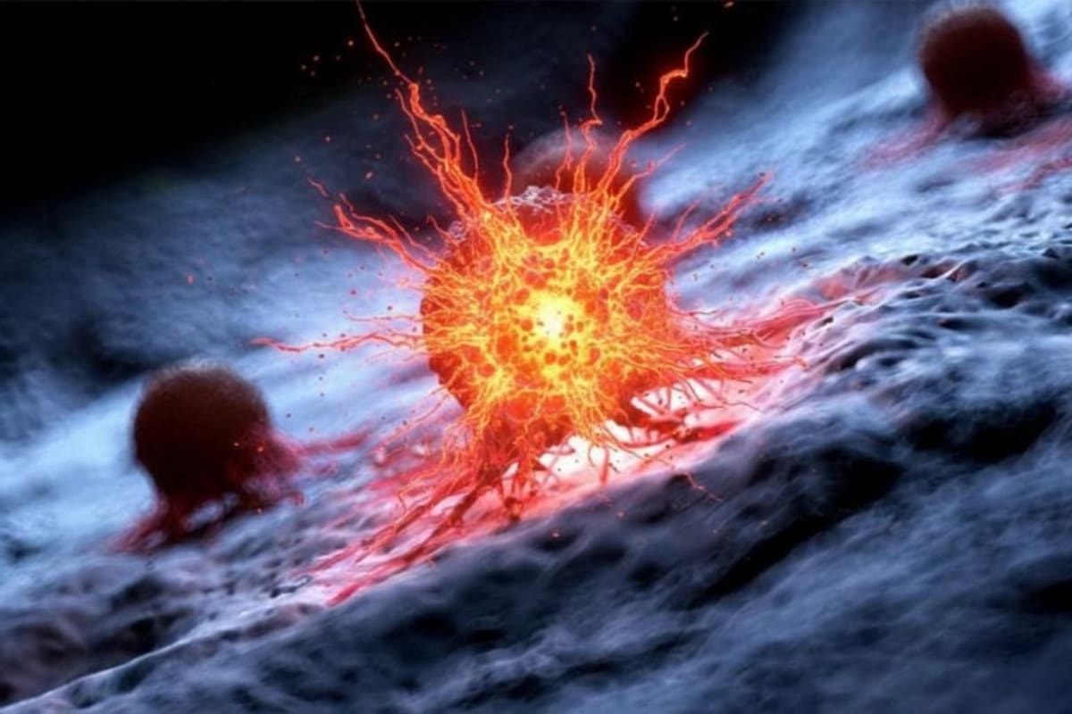 Scientists Find Fatal Weakness in Pancreatic Cancer - Image 2