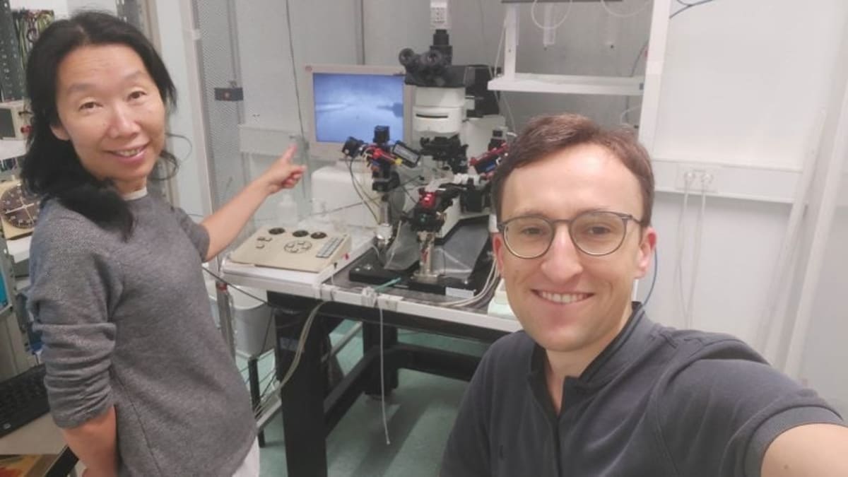 Scientists Freeze and Revive Brain Tissue for First Time - Image 3