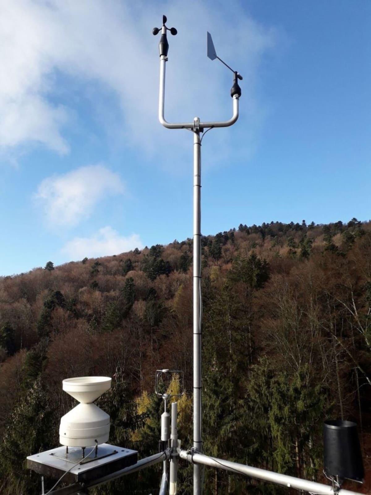 German Forests Absorb More Methane as Climate Warms - Image 5