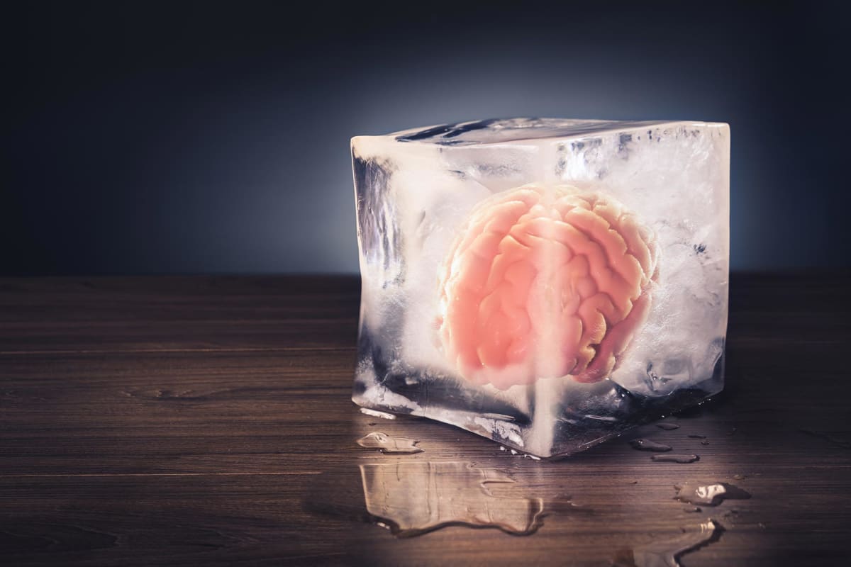 Scientists Freeze and Revive Brain Tissue for First Time