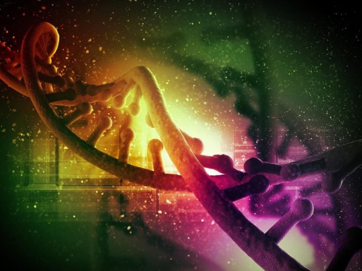Evolution Used Same Genetic Code for 120 Million Years - Image 2
