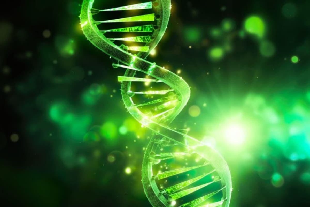 Gene Discovery Reveals Youth's Hidden Cost: Aging and Cancer - Image 2