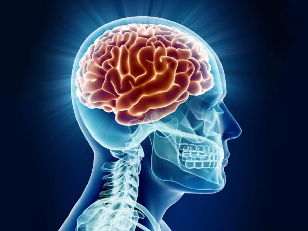 Brain Enters New Phase Between Ages 50 and 75