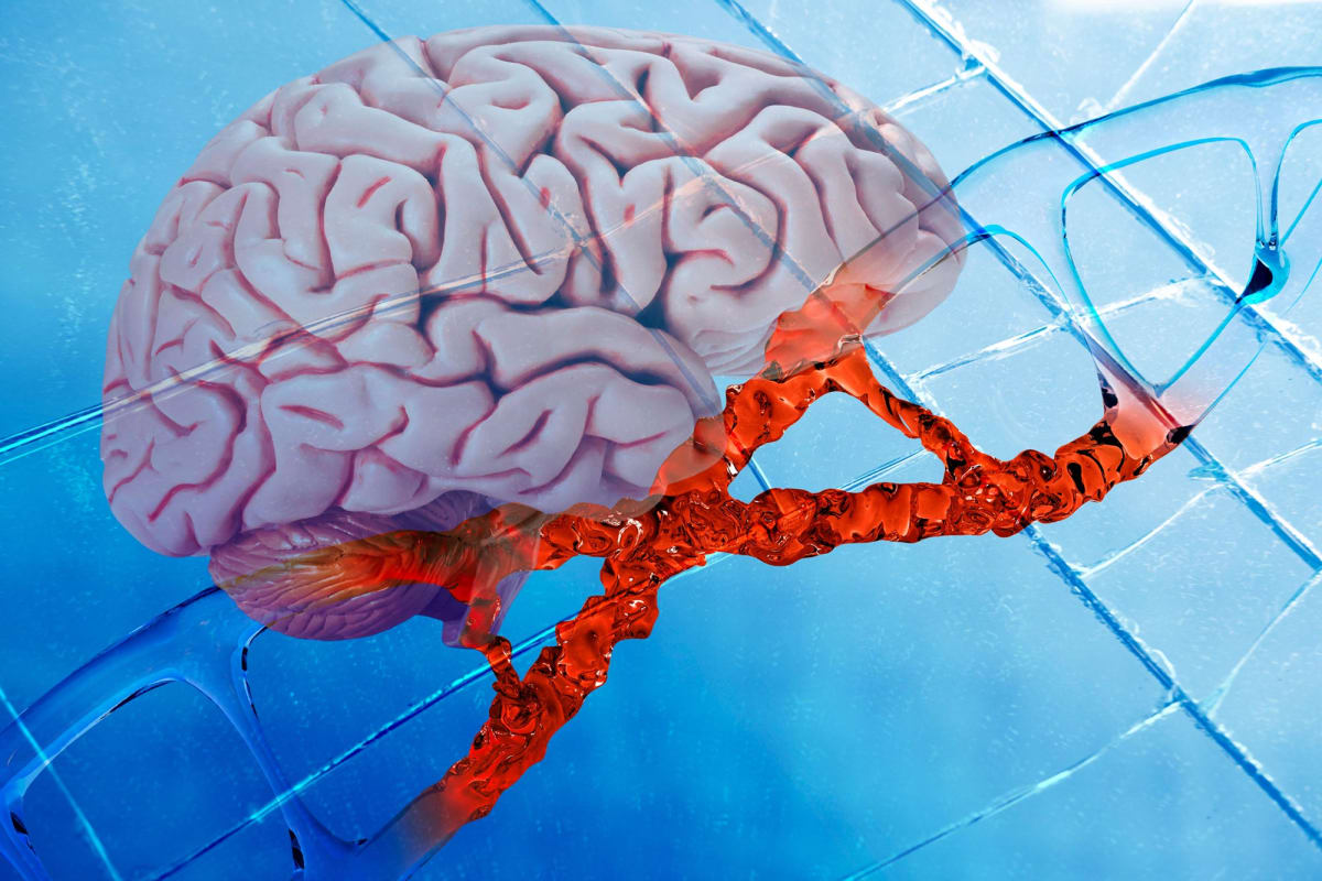 Ancient DNA Switches Unlock Secrets of Human Language