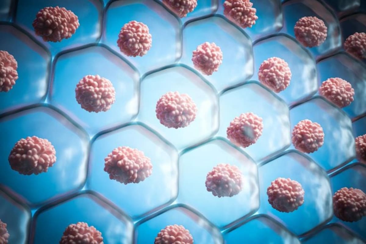 Scientists Find Way to Eliminate Aging "Zombie Cells - Image 2