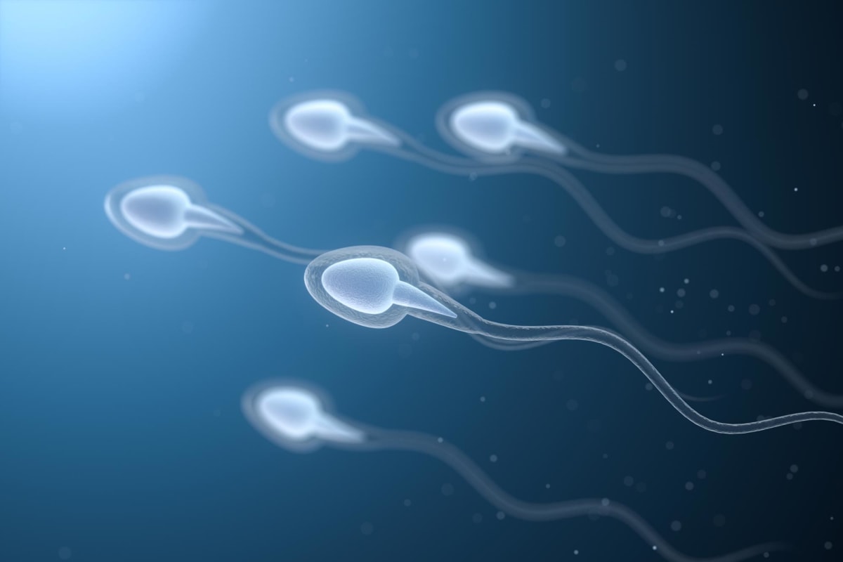Microscopic view of human sperm cell with tail flagella moving through viscous fluid