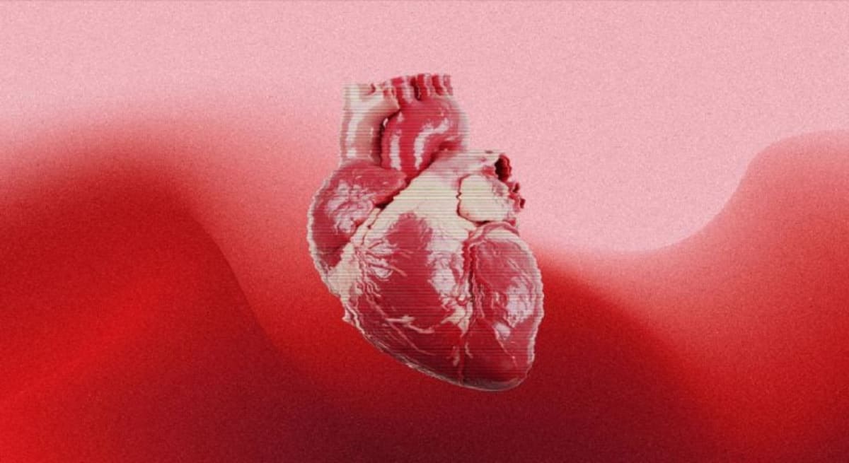 Scientists Find Why 2 in 100 Babies Born With Heart Defects