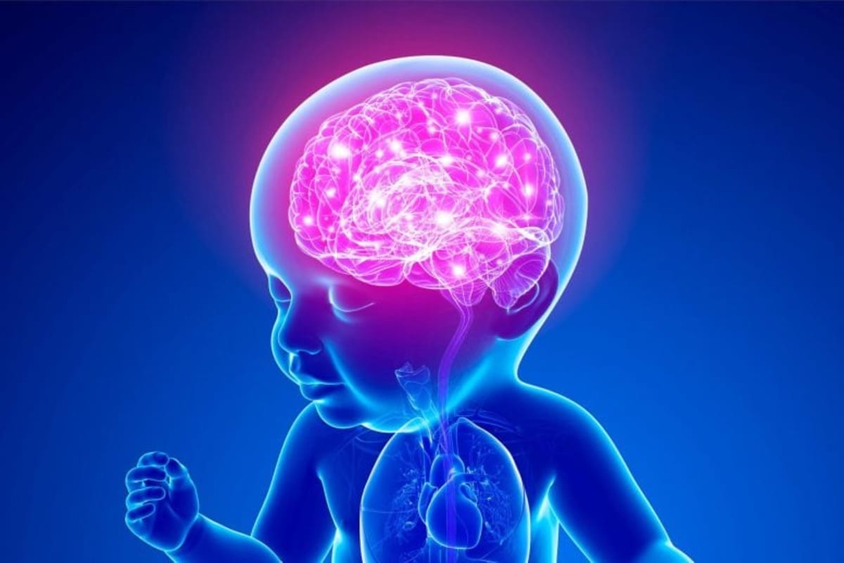 Gut Bacteria May Protect Children From Autism and ADHD - Image 2