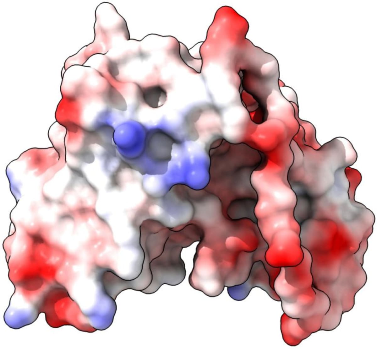 AI-Designed Antibodies Work Inside Cells to Fight Dementia - Image 3