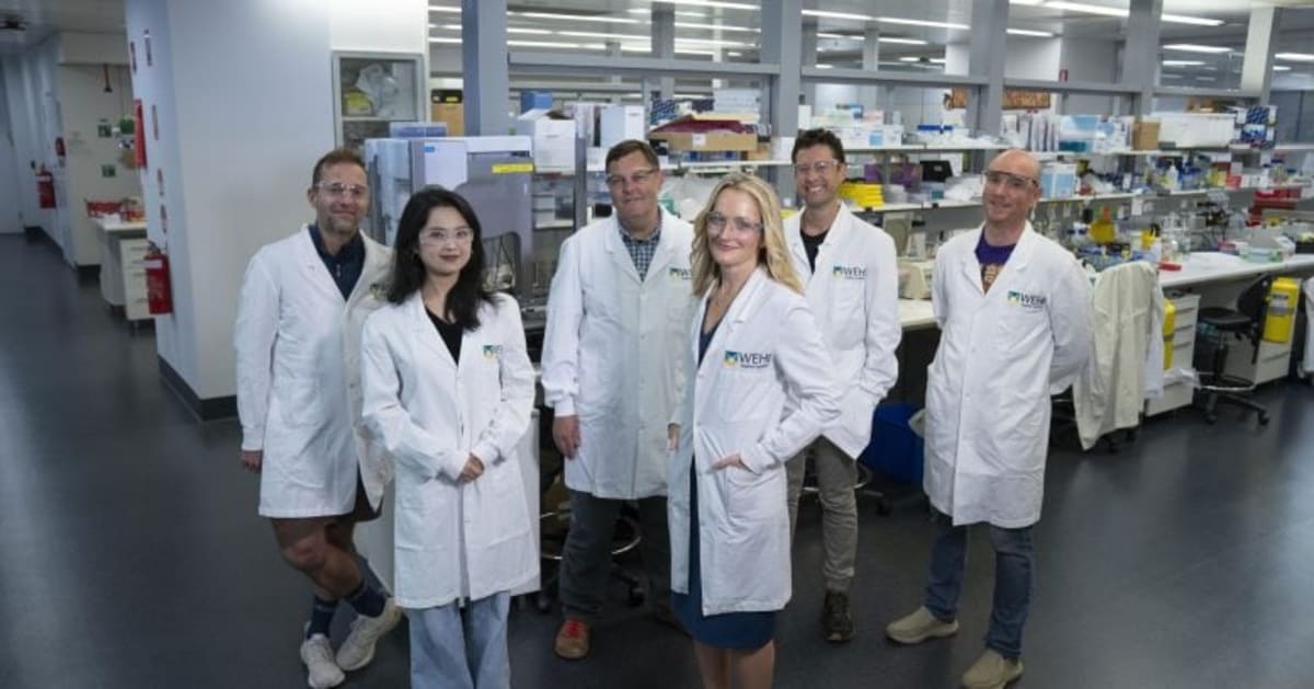 IBD Breakthrough: Scientists Find Why Flare-Ups Return - Image 4