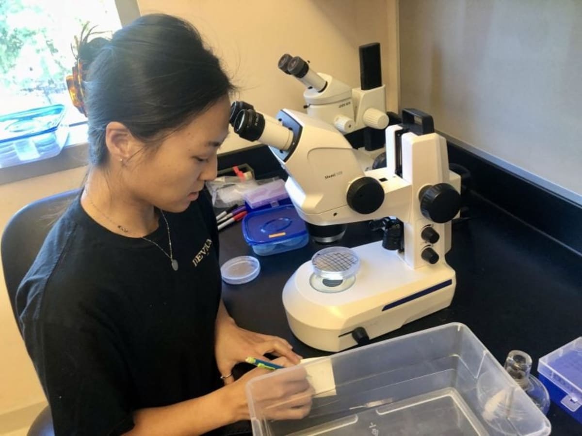 New Worm Species Found in Great Salt Lake - Image 3