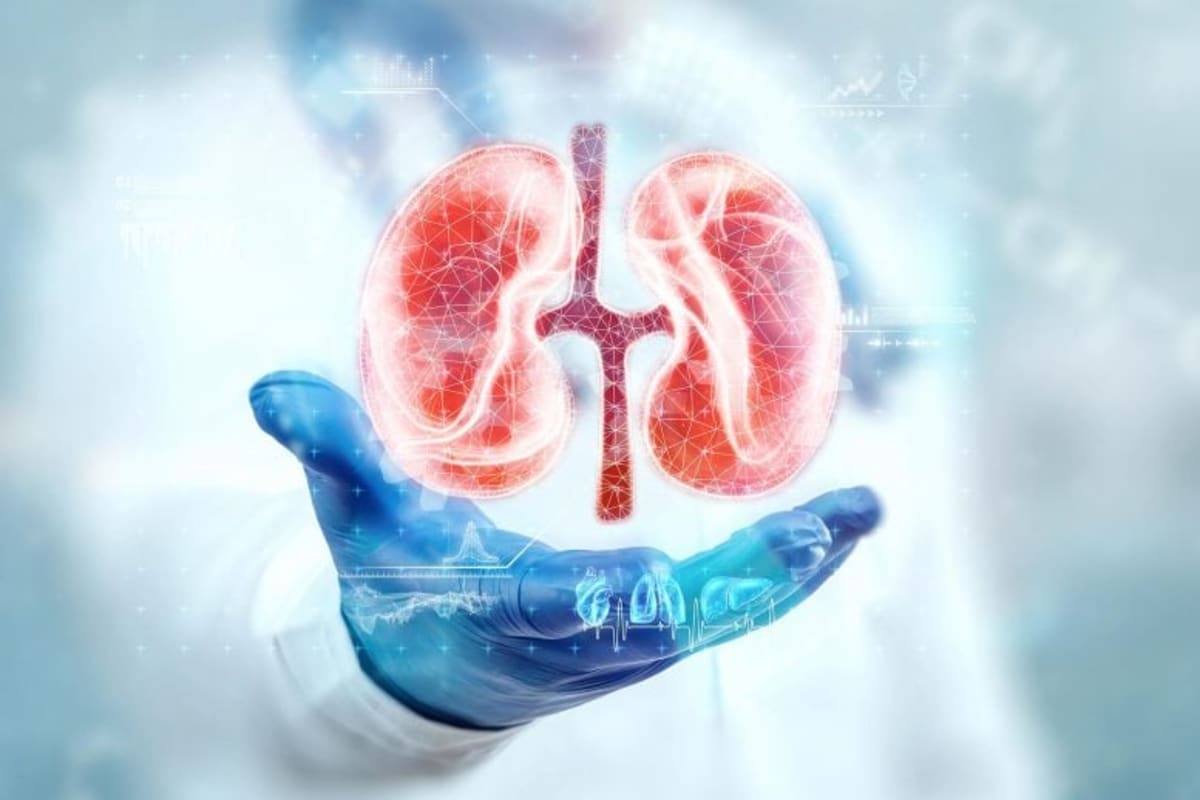 Mayo Clinic Discovers New Way Kidneys Control Water - Image 2