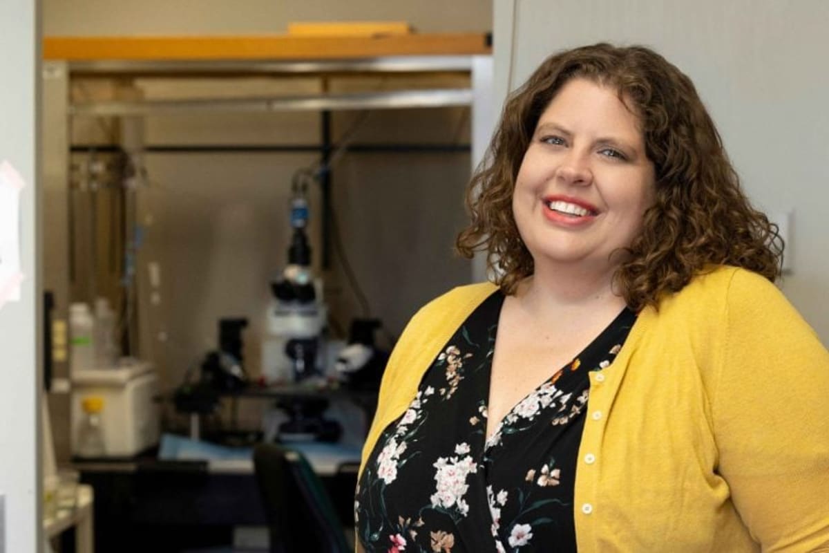 Scientists Find Way to Boost Stroke Recovery Days Later - Image 3