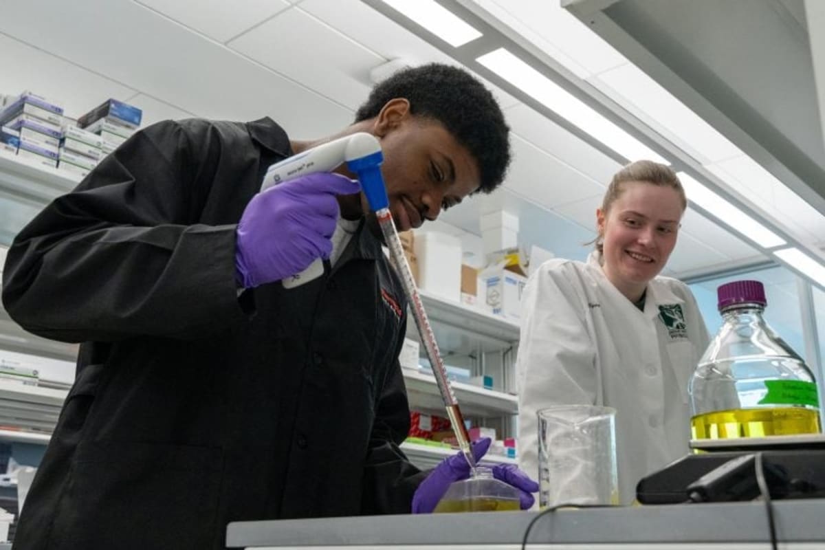 Scientists Find Brain Switch Behind Cocaine Addiction - Image 5