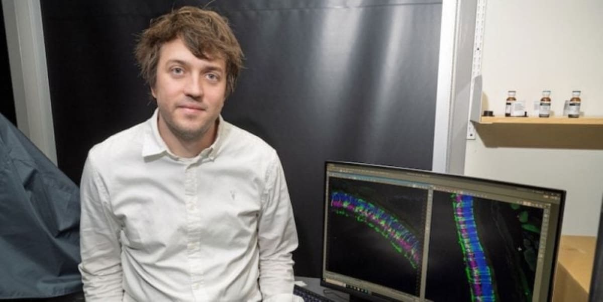 Scientists Find Way to Help Aging Eyes Regrow Lost Neurons