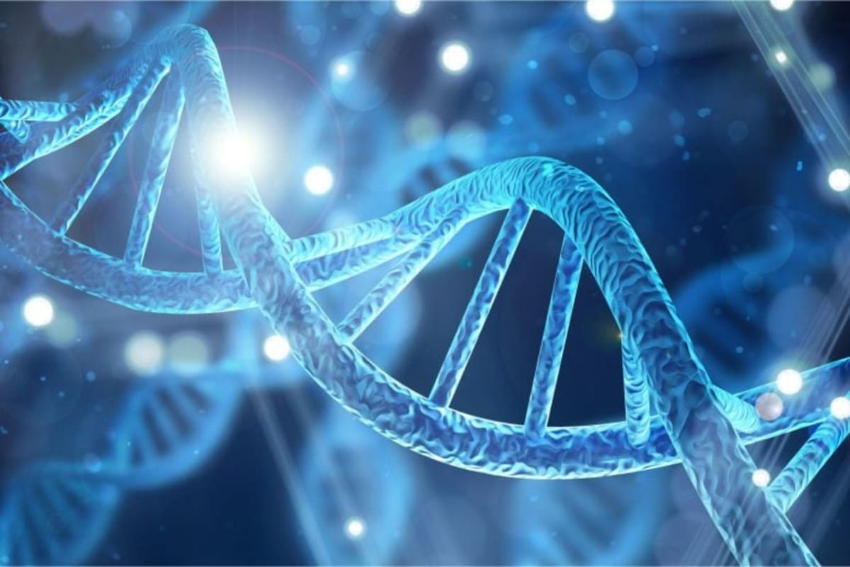 Scientists Find Hidden Code Inside Human DNA - Image 2