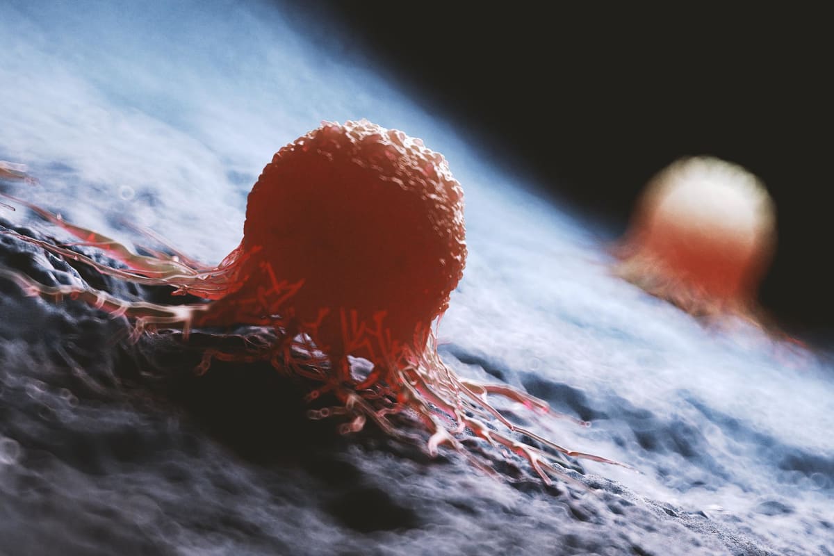 New Cancer Strategy Switches Drugs Before Resistance Hits