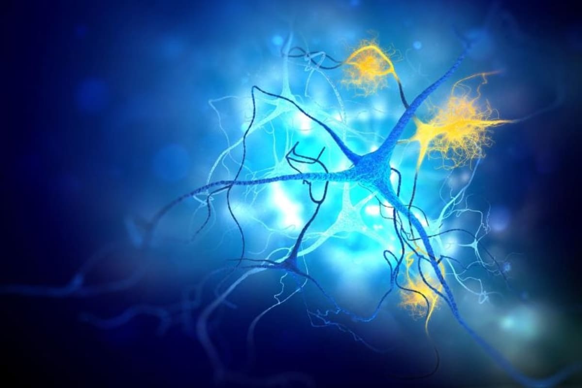 Scientists Create First Tool to Study Hidden Alzheimer's Target - Image 2