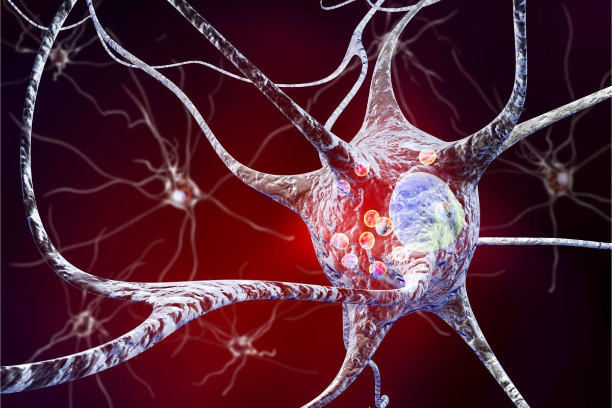 Microscope image showing preserved dopaminergic neurons in red after peptide treatment