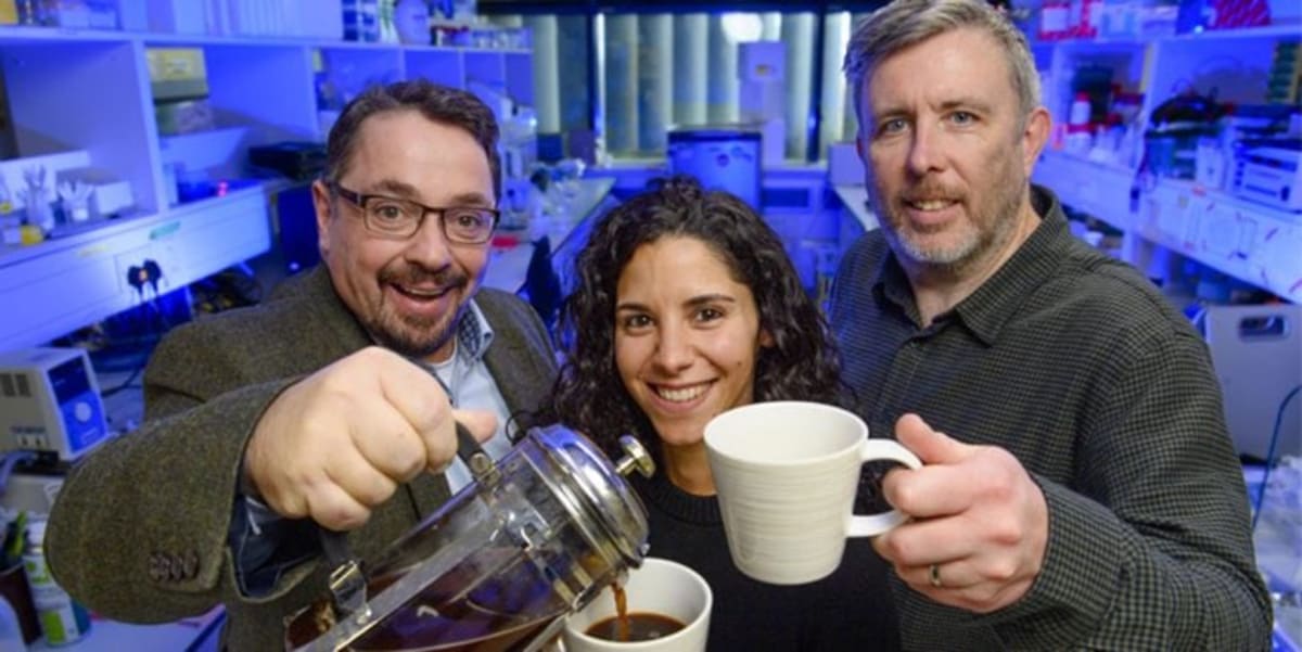 Coffee Shapes Gut Health and Boosts Mood, Study Finds - Image 3