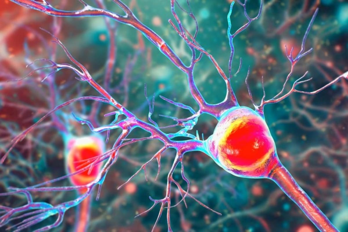 Virginia Tech Finds Key to Better Movement Disorder Cures - Image 3